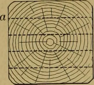 An illustration from Exercises in wood-working, with a short treatise on wood;, 1890, leaf 26
