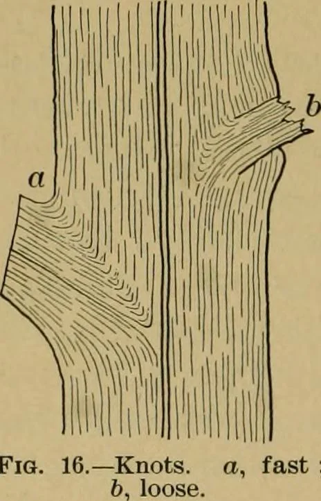 An illustration from Exercises in wood-working, with a short treatise on wood;, 1890, leaf 30