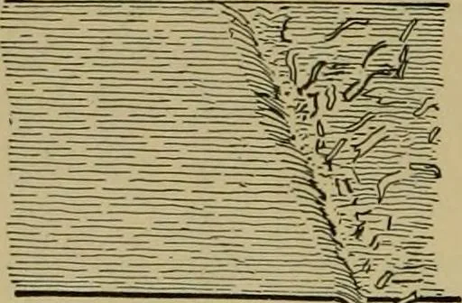 An illustration from Exercises in wood-working, with a short treatise on wood;, 1890, leaf 78
