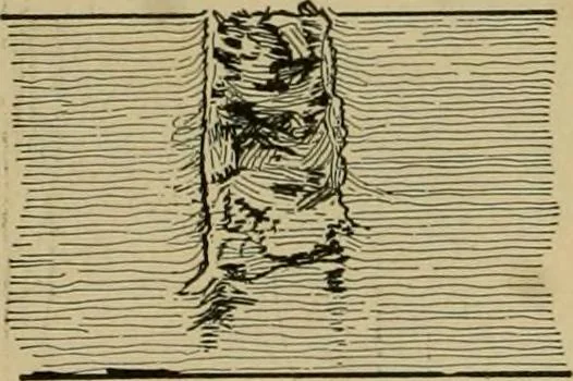 An illustration from Exercises in wood-working, with a short treatise on wood;, 1890, leaf 80