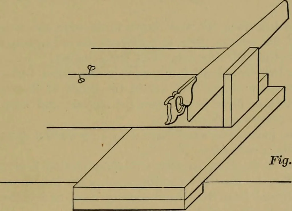 An illustration from Exercises in wood-working, with a short treatise on wood;, 1890, leaf 81