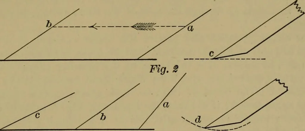 An illustration from Exercises in wood-working, with a short treatise on wood;, 1890, leaf 83