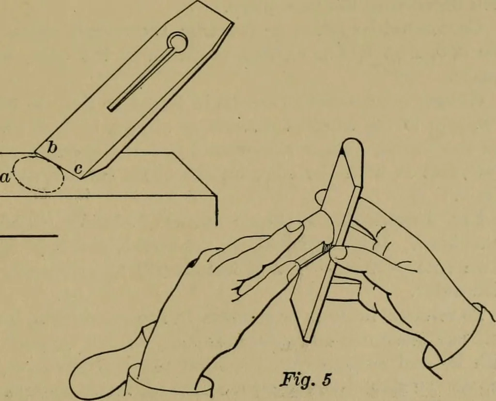 An illustration from Exercises in wood-working, with a short treatise on wood;, 1890, leaf 83