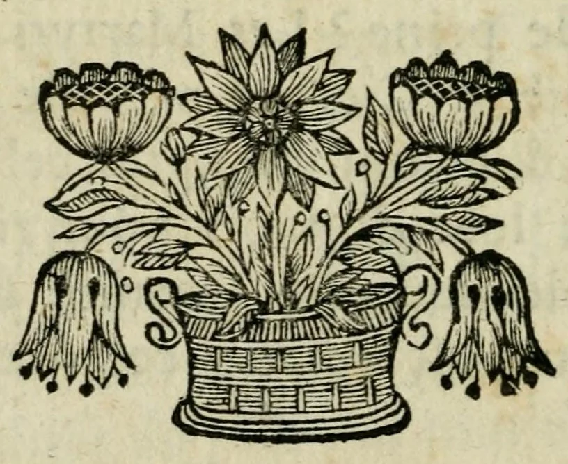 An illustration from Exercise spirituel pour tous les Chrestiens : avec un abbregé des principaux mysteres de la foy, en faveur de la noblesse allemande, 1682, leaf 244