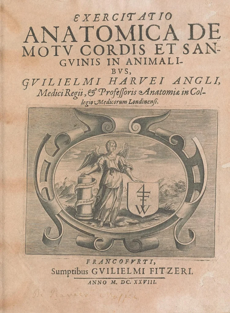 An illustration from Exercitatio anatomica de motv cordis et sangvinis in animalibvs, 1628, leaf 5