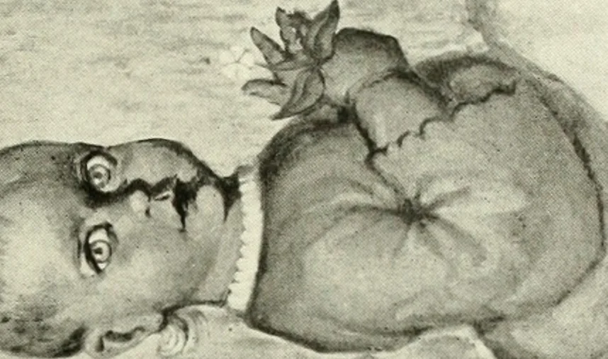 An illustration from Exhibition of American art : June 9th to 5th July, Galerie de la Chambre syndicale des beaux-arts, 1920, leaf 20