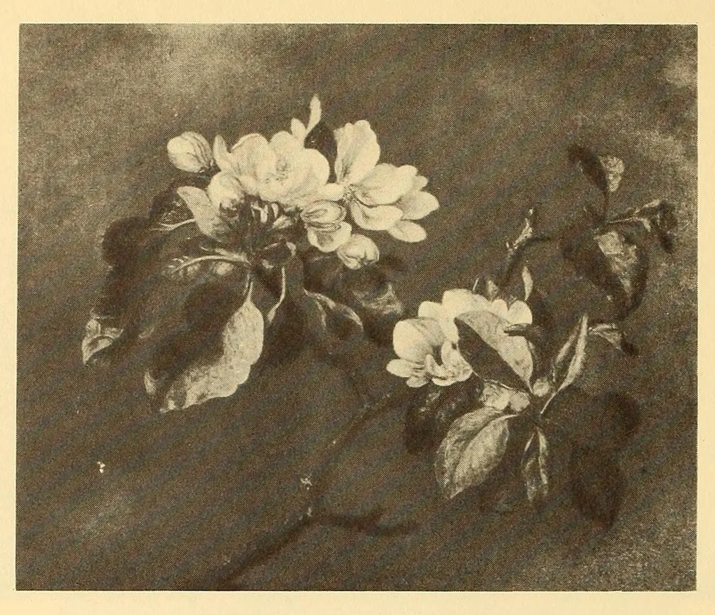 An illustration from Exhibition of American paintings, 1900, leaf 12