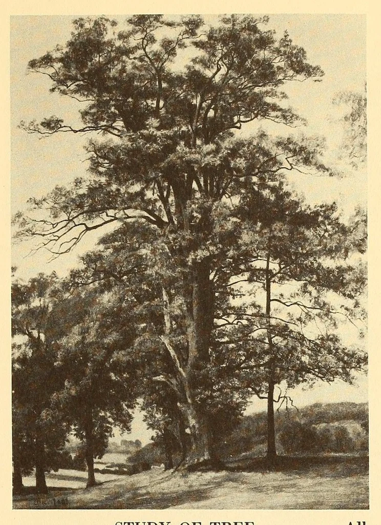 An illustration from Exhibition of American paintings, 1900, leaf 17