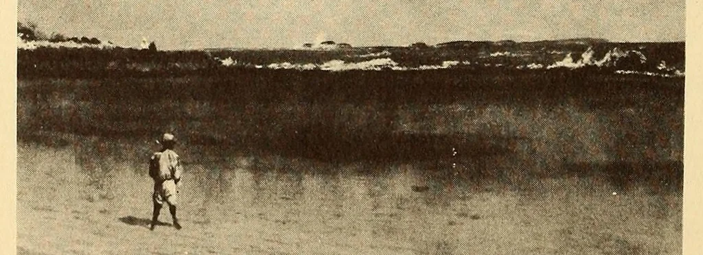 An illustration from Exhibition of American paintings, 1900, leaf 18
