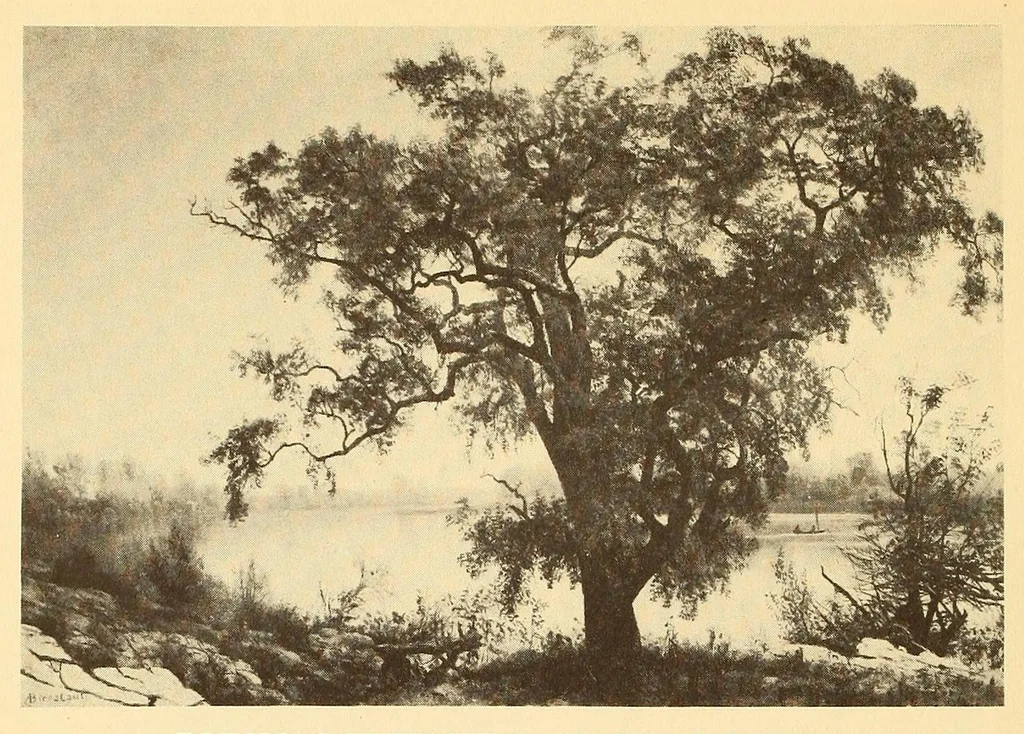 An illustration from Exhibition of American paintings, 1900, leaf 20