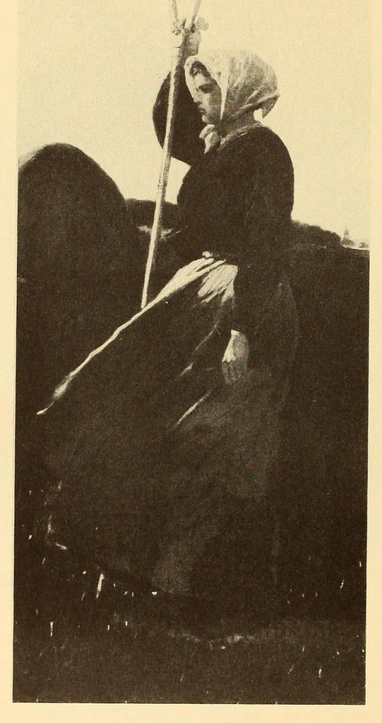 An illustration from Exhibition of American paintings, 1900, leaf 8