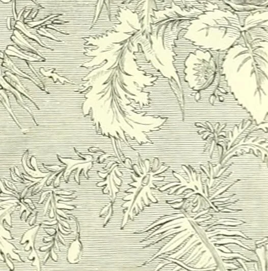 An illustration from The exhibition of art-industry in Dublin, 1853, 1853, leaf 99