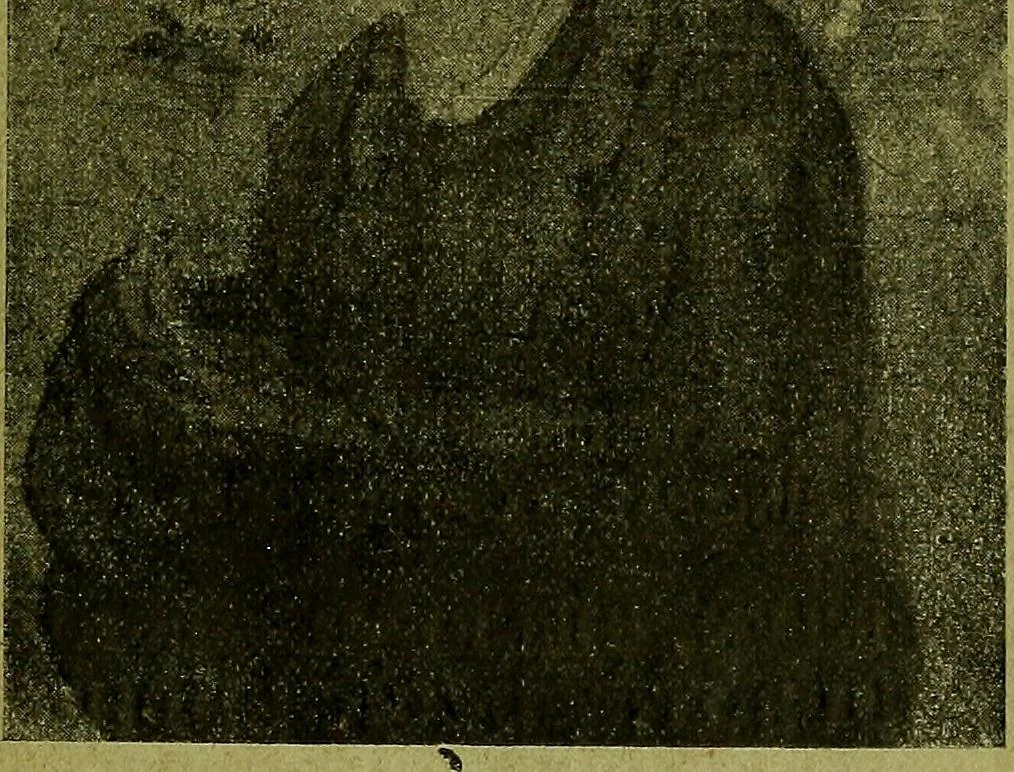 An illustration from Exhibition of French modern art : paintings, sculptures, etchings, and applied art, 1919, leaf 10