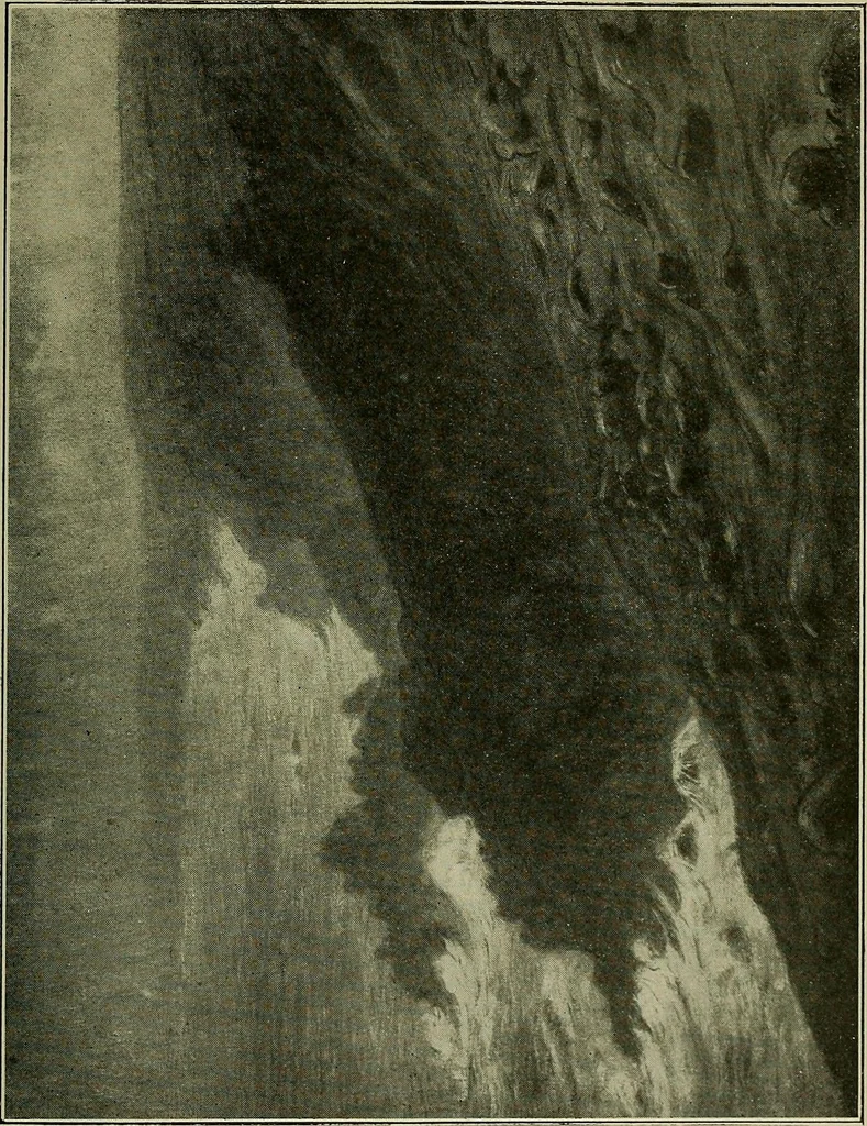 An illustration from Exhibition of French modern art : paintings, sculptures, etchings, and applied art, 1919, leaf 96