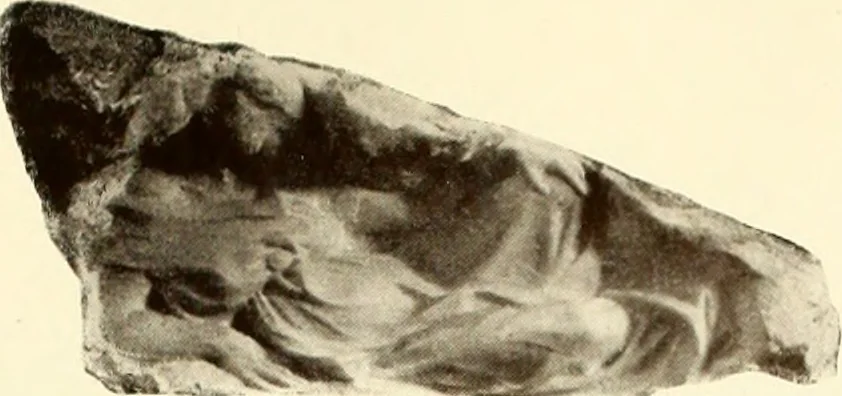 An illustration from Exhibition of the works of the sculptor O'Connor, 1917, leaf 14