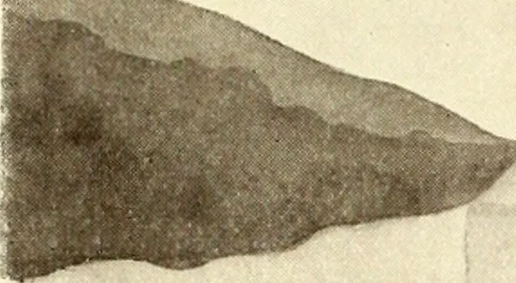 An illustration from Exhibition of the works of the sculptor O'Connor, 1917, leaf 30