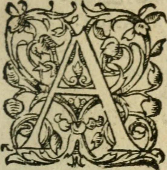 An illustration from Exhortation avx Francois povr vivre en concorde, et iovir dv bien de la paix, 1570, leaf 140