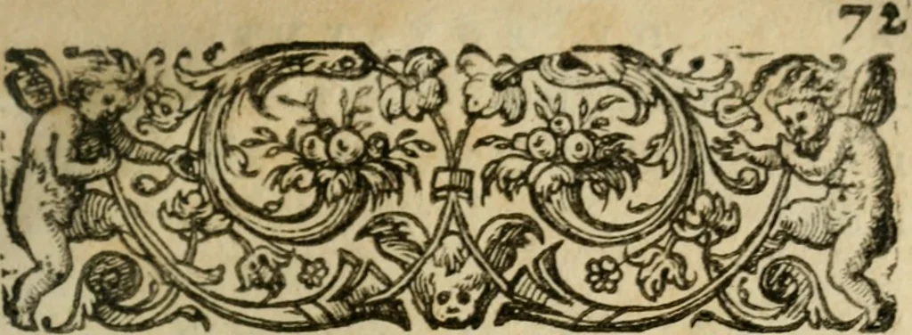 An illustration from Exhortation avx Francois povr vivre en concorde, et iovir dv bien de la paix, 1570, leaf 142