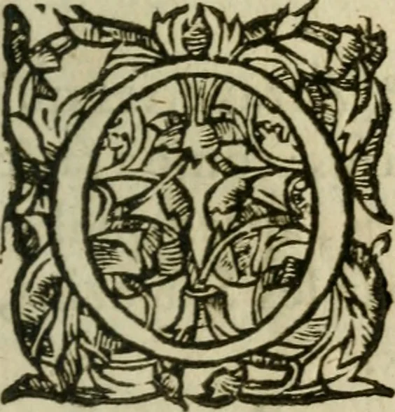 An illustration from Exhortation avx Francois povr vivre en concorde, et iovir dv bien de la paix, 1570, leaf 164