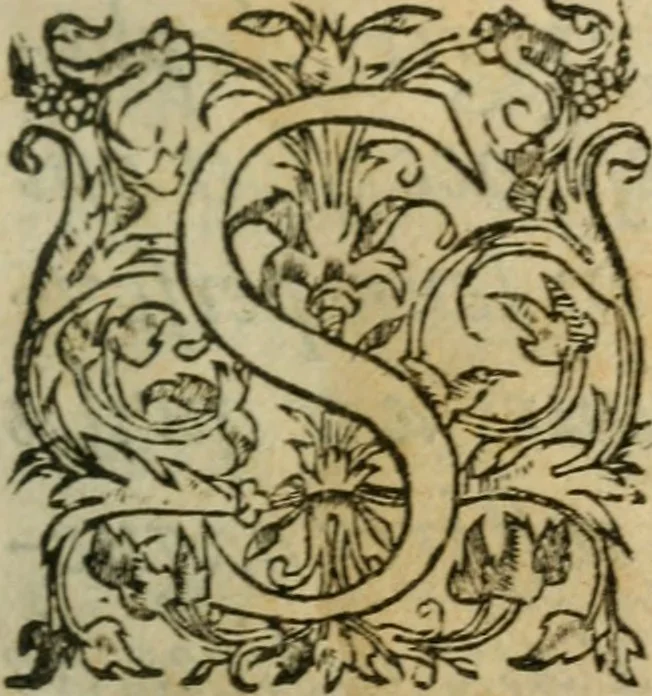 An illustration from Exhortation avx Francois povr vivre en concorde, et iovir dv bien de la paix, 1570, leaf 4