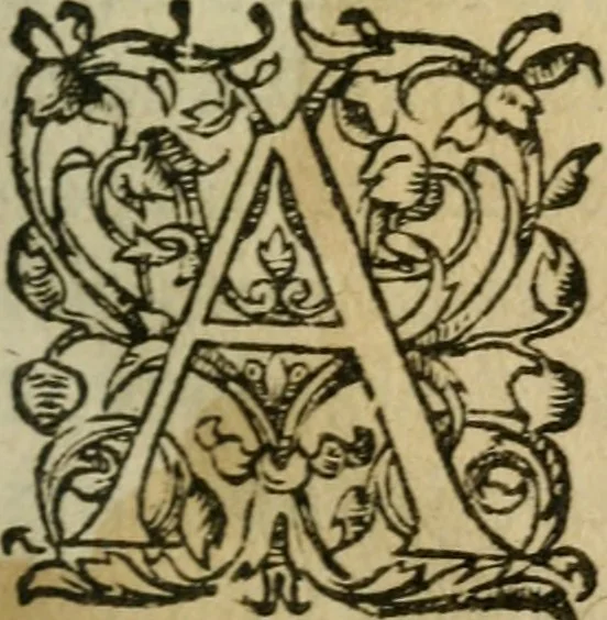 An illustration from Exhortation avx Francois povr vivre en concorde, et iovir dv bien de la paix, 1570, leaf 8