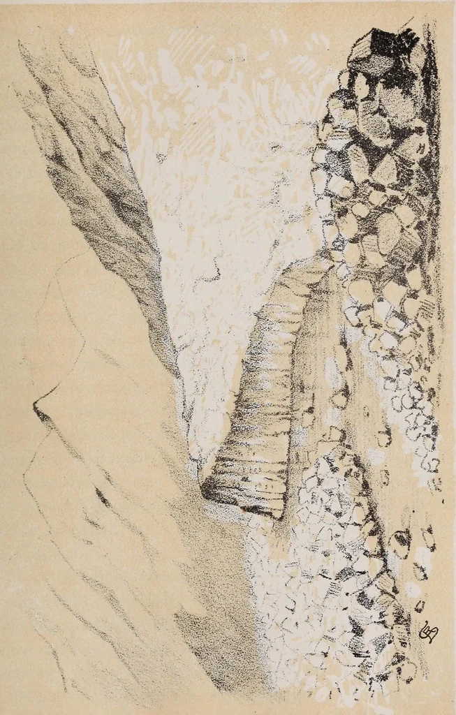 An illustration from Expedición Austral Argentina. Informes preliminares presentados a S.S.E.E. los Ministros del Interior y de Guerra y Marina de la República Argentina, 1883, leaf 161
