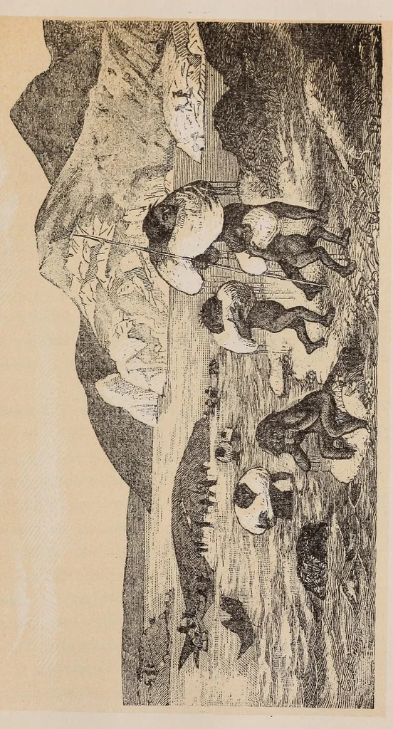 An illustration from Expedición Austral Argentina. Informes preliminares presentados a S.S.E.E. los Ministros del Interior y de Guerra y Marina de la República Argentina, 1883, leaf 233