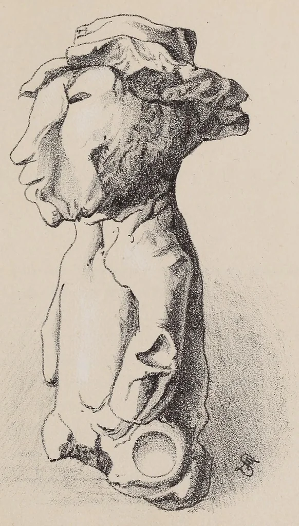 An illustration from Expedición Austral Argentina. Informes preliminares presentados a S.S.E.E. los Ministros del Interior y de Guerra y Marina de la República Argentina, 1883, leaf 245