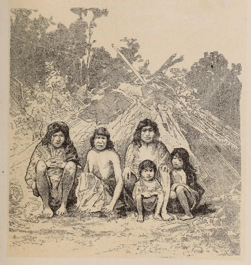 An illustration from Expedición Austral Argentina. Informes preliminares presentados a S.S.E.E. los Ministros del Interior y de Guerra y Marina de la República Argentina, 1883, leaf 261