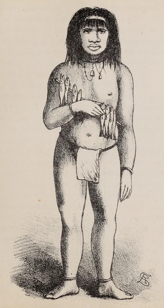 An illustration from Expedición Austral Argentina. Informes preliminares presentados a S.S.E.E. los Ministros del Interior y de Guerra y Marina de la República Argentina, 1883, leaf 273