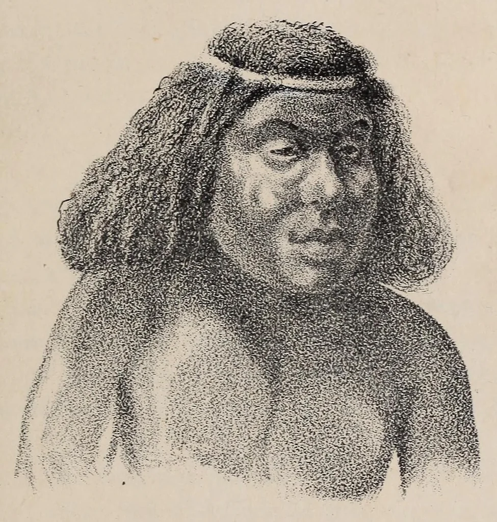 An illustration from Expedición Austral Argentina. Informes preliminares presentados a S.S.E.E. los Ministros del Interior y de Guerra y Marina de la República Argentina, 1883, leaf 303