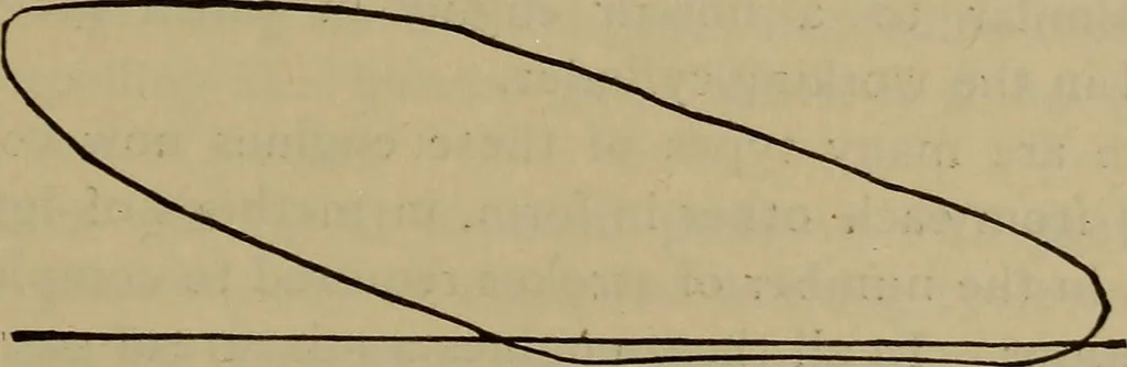 An illustration from Experimental engineering and manual for testing, 1903, leaf 643