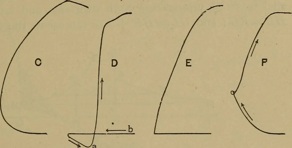 An illustration from Experimental engineering and manual for testing. For engineers and for students in engineering laboratories, 1906, leaf 596
