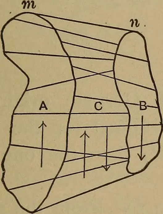 An illustration from Experimental engineering and manual for testing. For engineers and for students in engineering laboratories, 1906, leaf 62