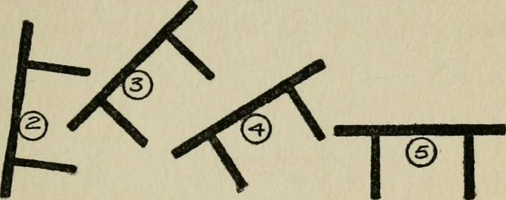 An illustration from Experiments in psychical science, levitation, contact, and the direct voice, 1919, leaf 24