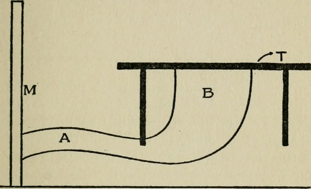 An illustration from Experiments in psychical science, levitation, contact, and the direct voice, 1919, leaf 28
