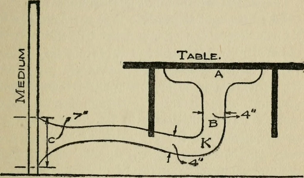 An illustration from Experiments in psychical science, levitation, contact, and the direct voice, 1919, leaf 30