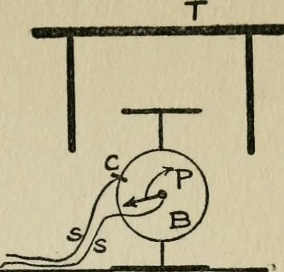 An illustration from Experiments in psychical science, levitation, contact, and the direct voice, 1919, leaf 60