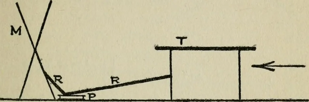 An illustration from Experiments in psychical science, levitation, contact, and the direct voice, 1919, leaf 82