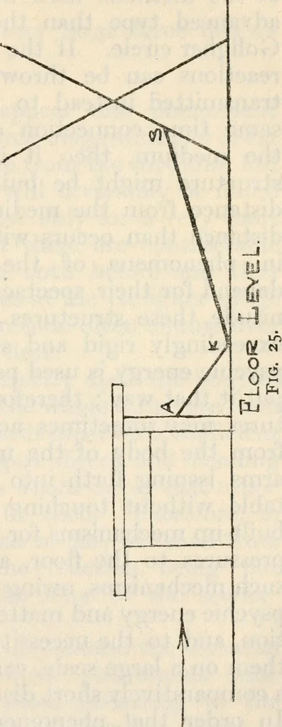 An illustration from Experiments in psychical science : levitation, contact, and the direct voice, 1919, leaf 120