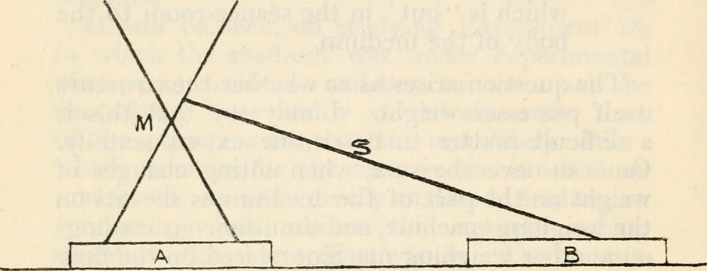 An illustration from Experiments in psychical science : levitation, contact, and the direct voice, 1919, leaf 125