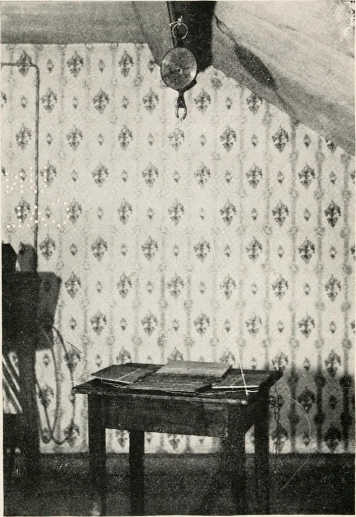 An illustration from Experiments in psychical science : levitation, contact, and the direct voice, 1919, leaf 173