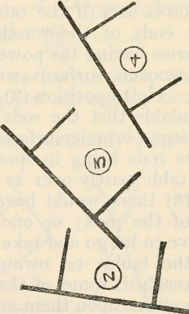 An illustration from Experiments in psychical science : levitation, contact, and the direct voice, 1919, leaf 20