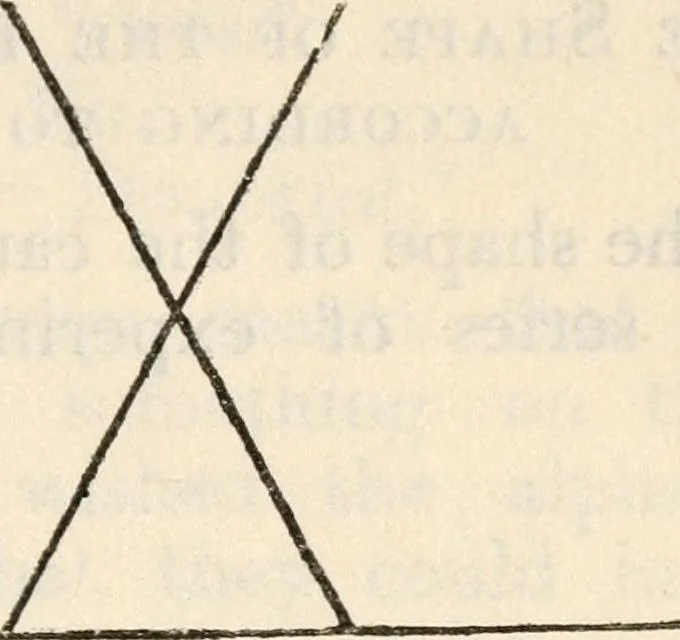 An illustration from Experiments in psychical science : levitation, contact, and the direct voice, 1919, leaf 22