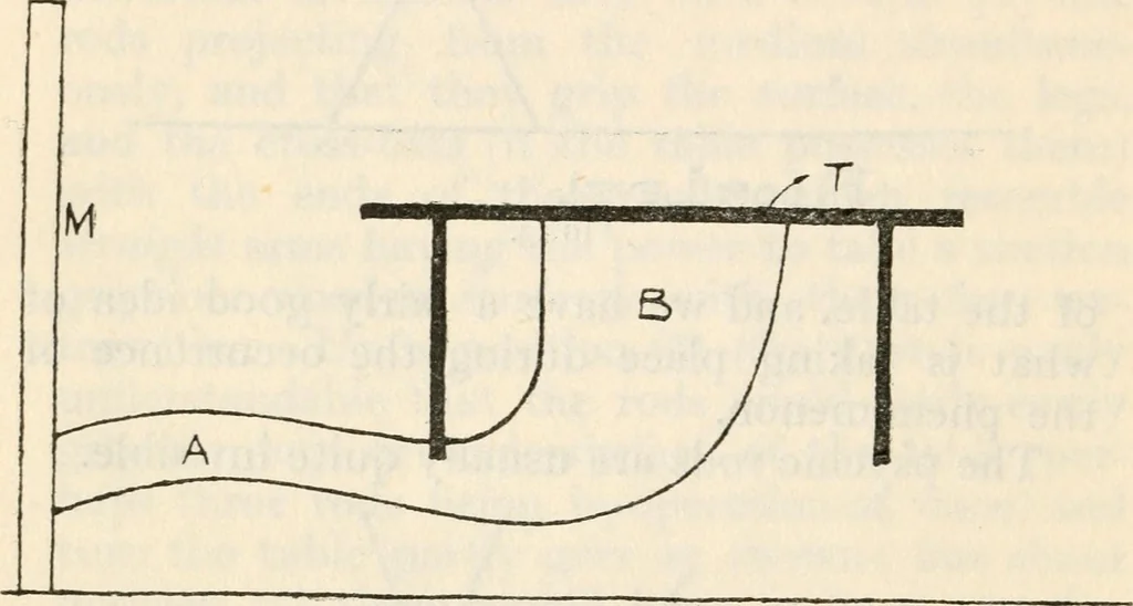 An illustration from Experiments in psychical science : levitation, contact, and the direct voice, 1919, leaf 23
