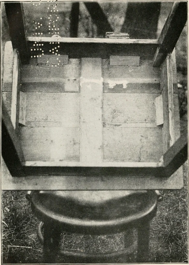 An illustration from Experiments in psychical science : levitation, contact, and the direct voice, 1919, leaf 39