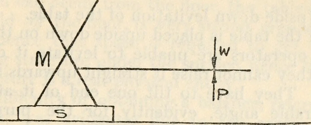 An illustration from Experiments in psychical science : levitation, contact, and the direct voice, 1919, leaf 60