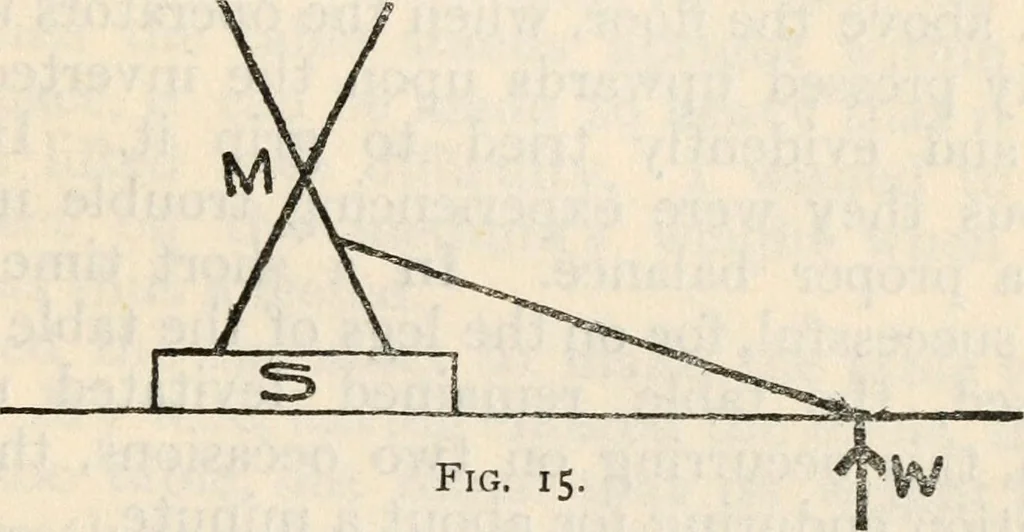 An illustration from Experiments in psychical science : levitation, contact, and the direct voice, 1919, leaf 60