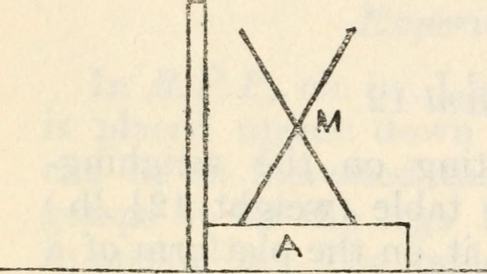 An illustration from Experiments in psychical science : levitation, contact, and the direct voice, 1919, leaf 65