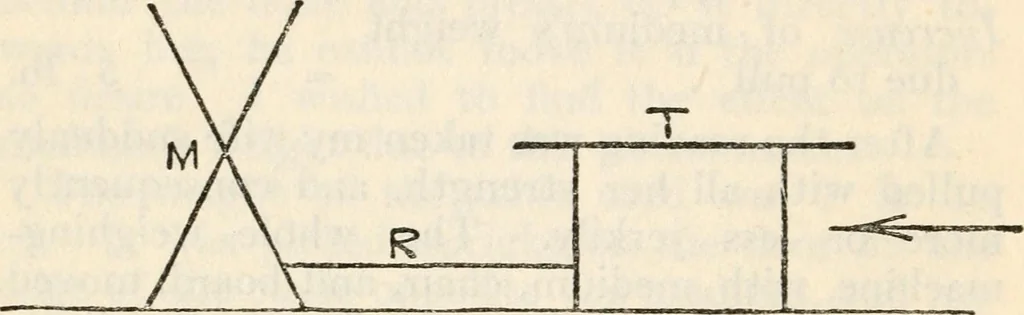 An illustration from Experiments in psychical science : levitation, contact, and the direct voice, 1919, leaf 73